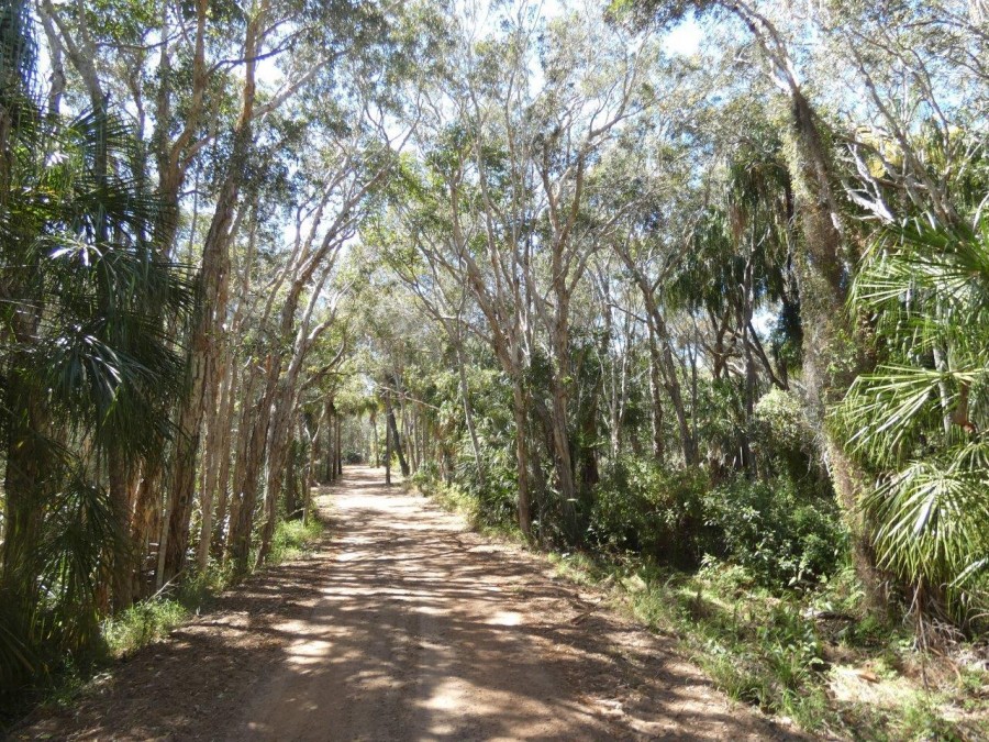 Real Estate in Deepwater