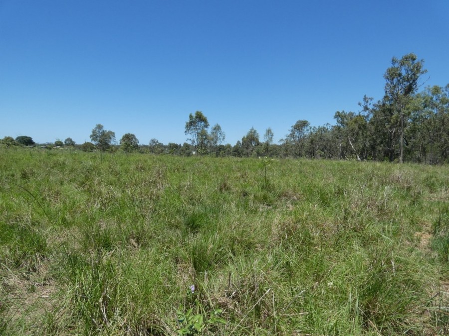 Real Estate in Rosedale