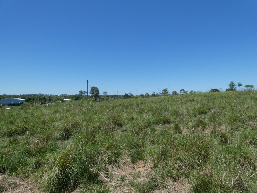 Real Estate in Rosedale