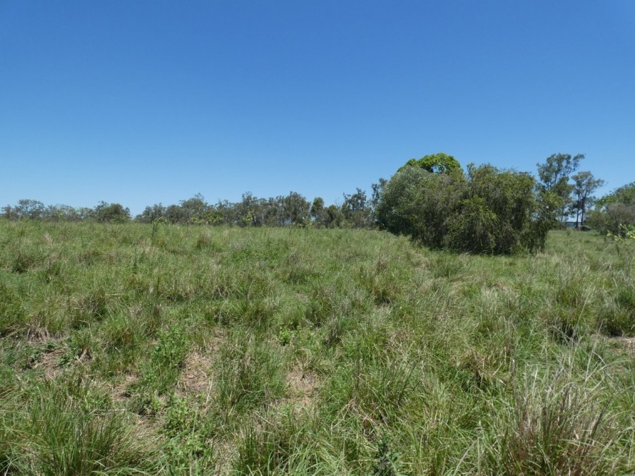 Real Estate in Rosedale