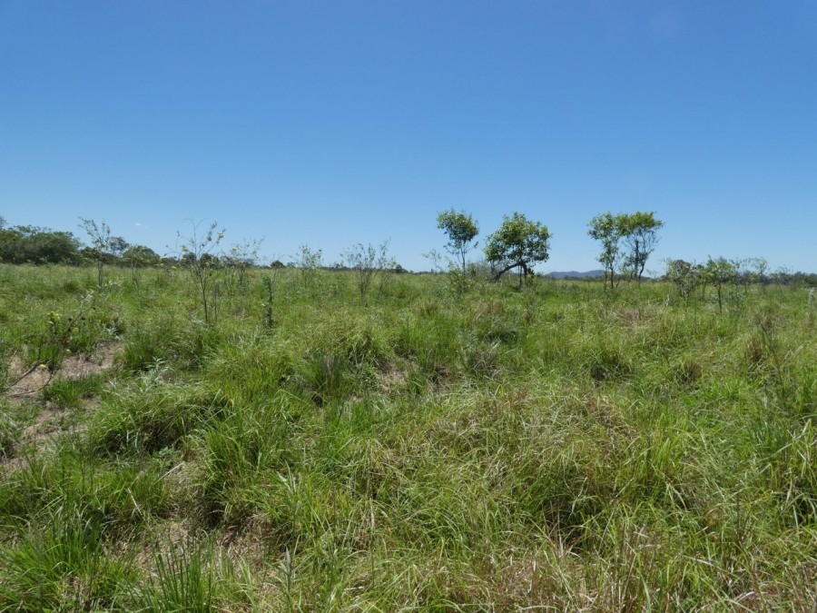 Real Estate in Rosedale