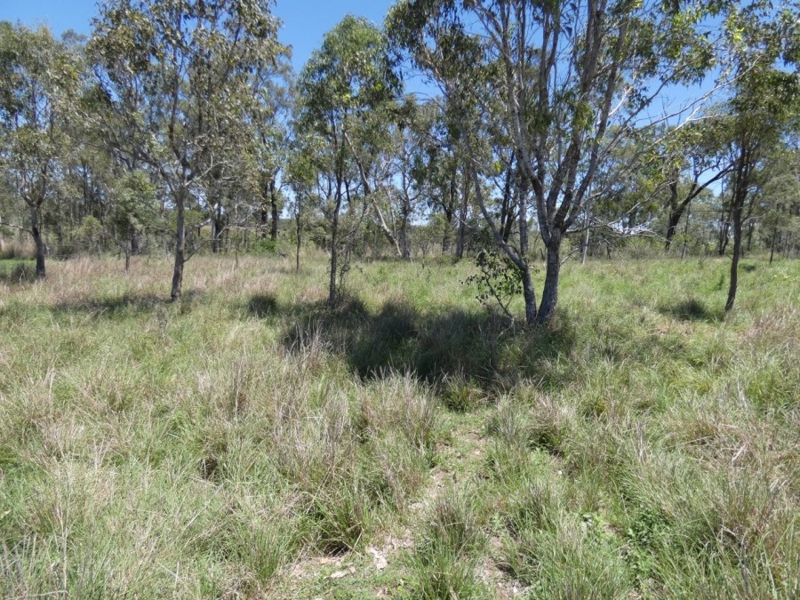 Real Estate in Rosedale