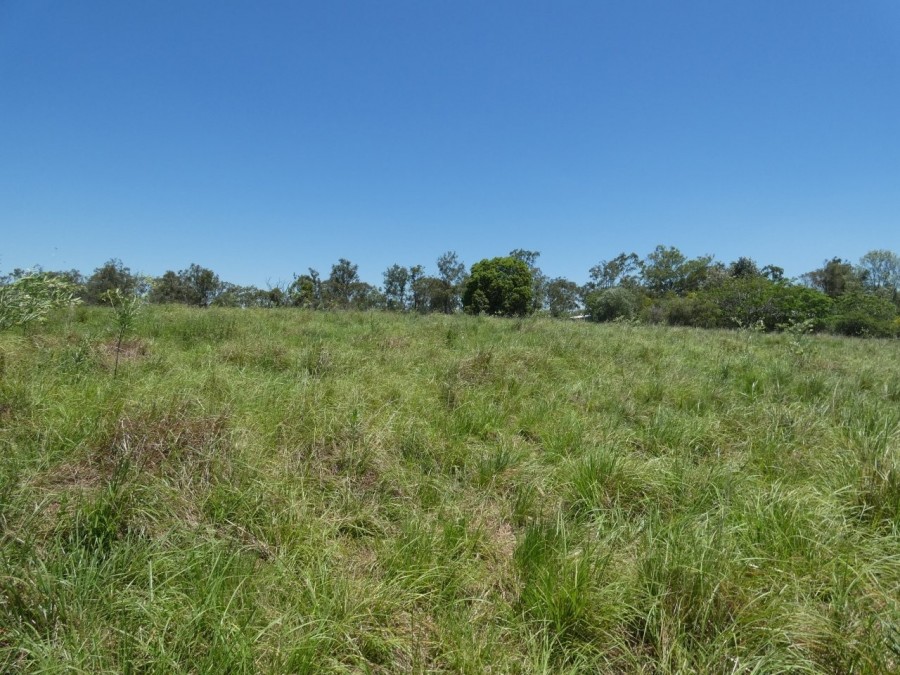 Real Estate in Rosedale