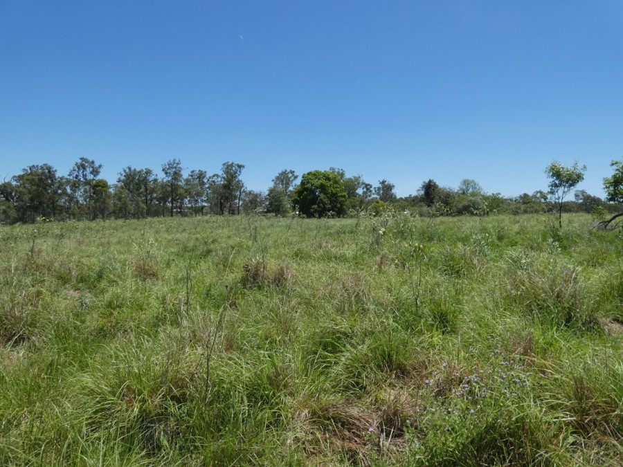 Real Estate in Rosedale