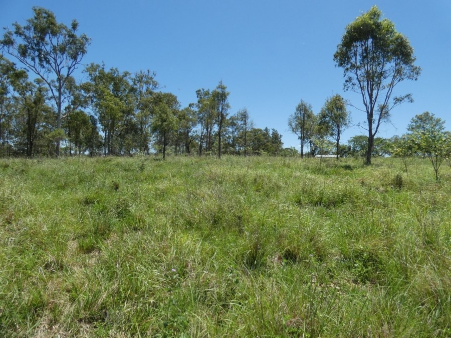 Real Estate in Rosedale