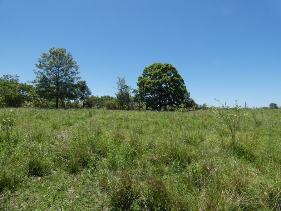 Real Estate in Rosedale