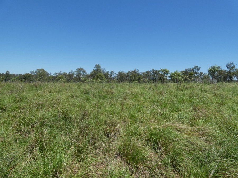 Real Estate in Rosedale