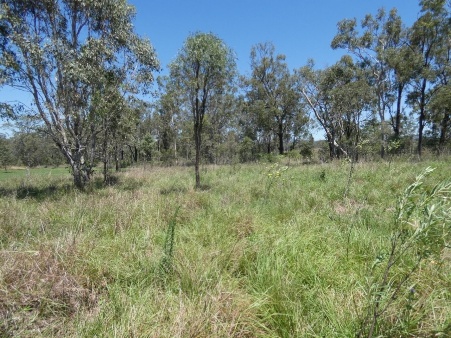 Real Estate in Rosedale