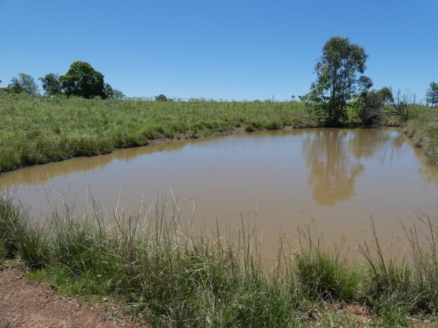 Real Estate in Rosedale