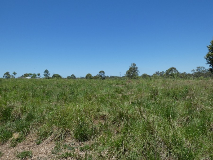 Real Estate in Rosedale