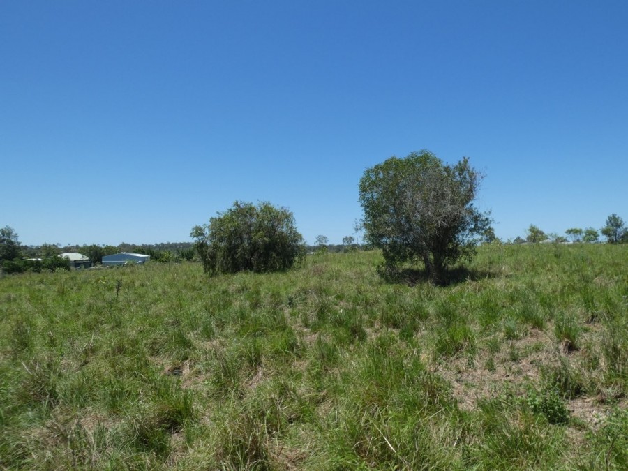 Real Estate in Rosedale