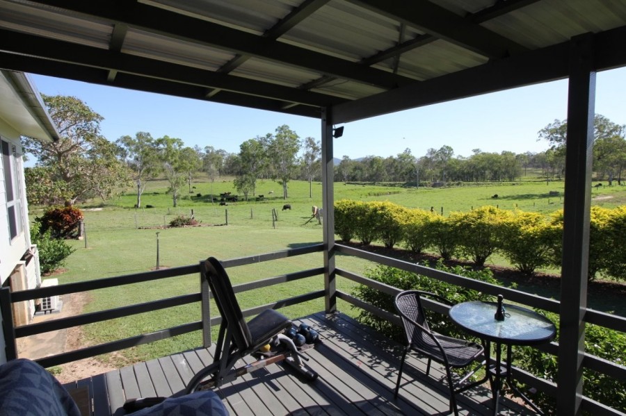 Real Estate in Berajondo