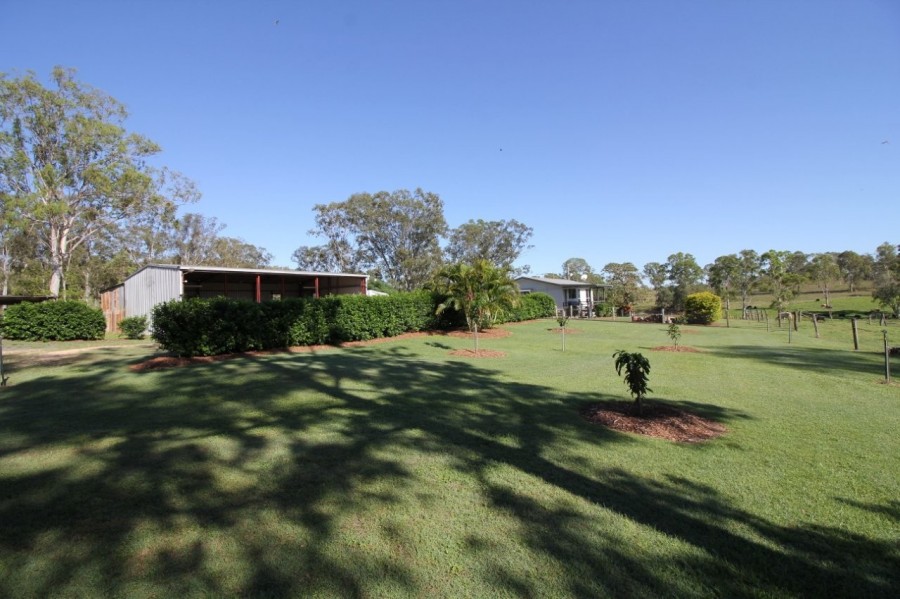 Real Estate in Berajondo