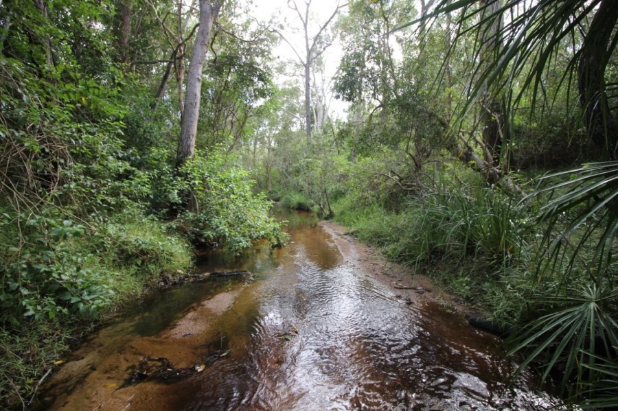 Real Estate in Berajondo
