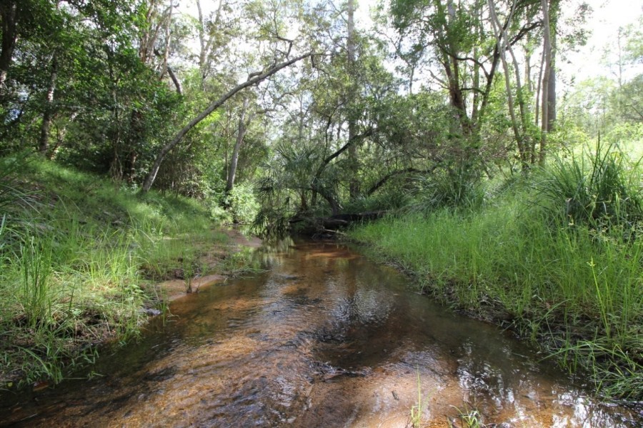 Real Estate in Berajondo