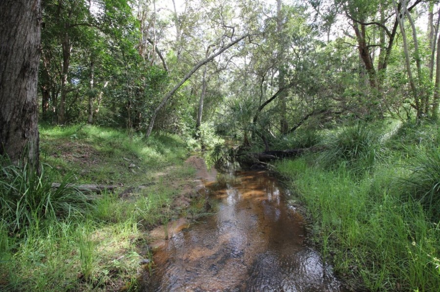 Real Estate in Berajondo