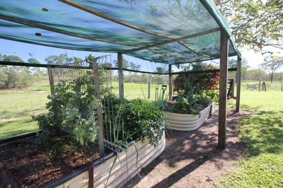 Real Estate in Berajondo