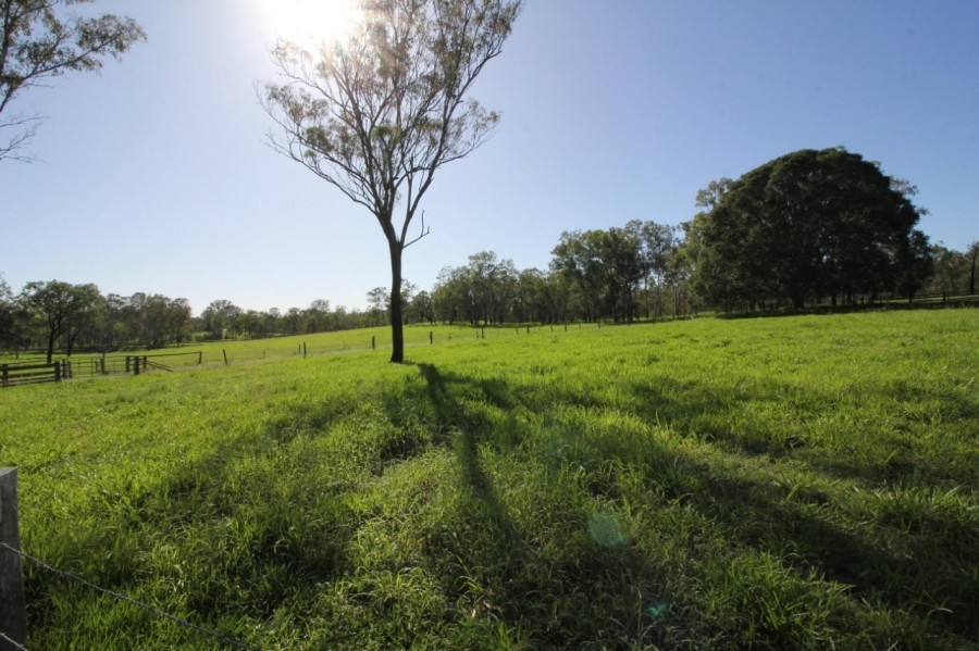 Real Estate in Berajondo