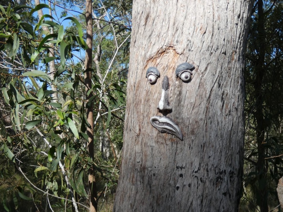 Real Estate in Deepwater