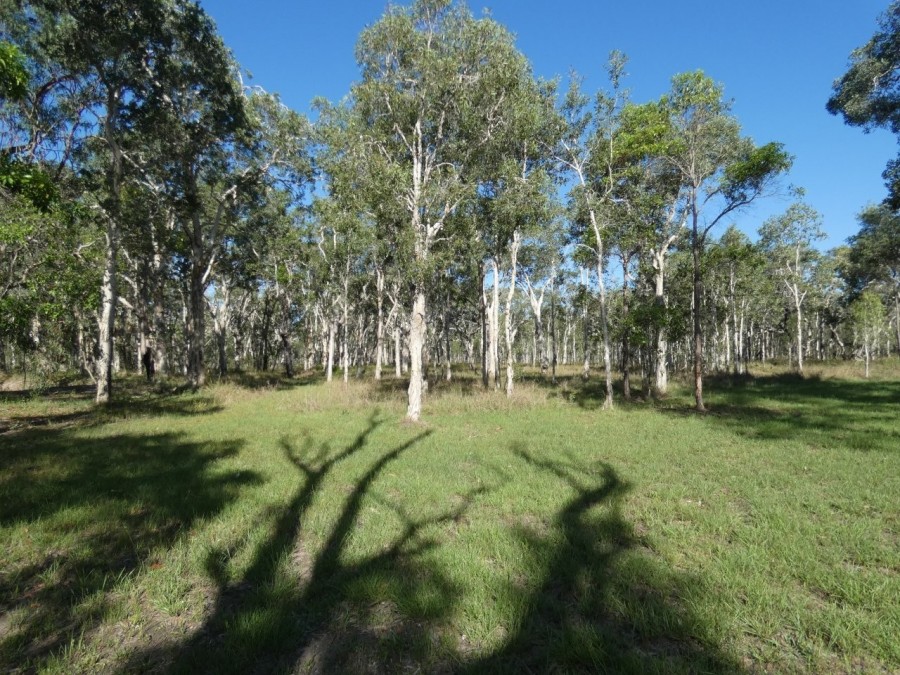 Real Estate in Deepwater