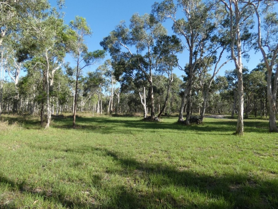 Real Estate in Deepwater