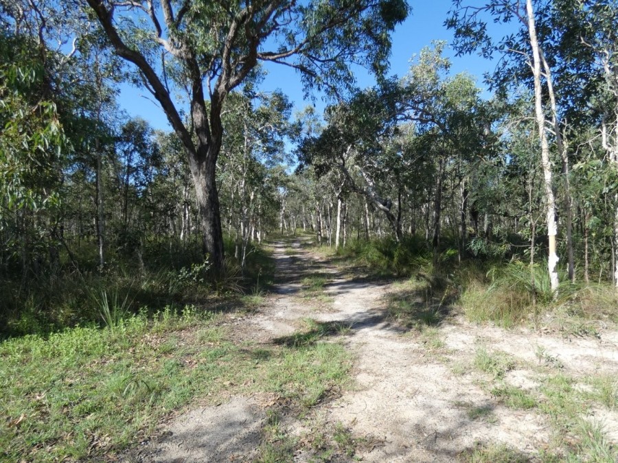 Real Estate in Deepwater