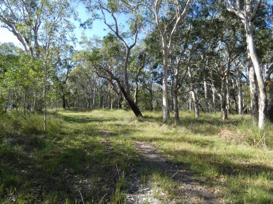 Real Estate in Deepwater