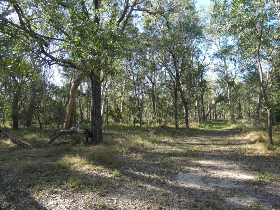 Real Estate in Deepwater