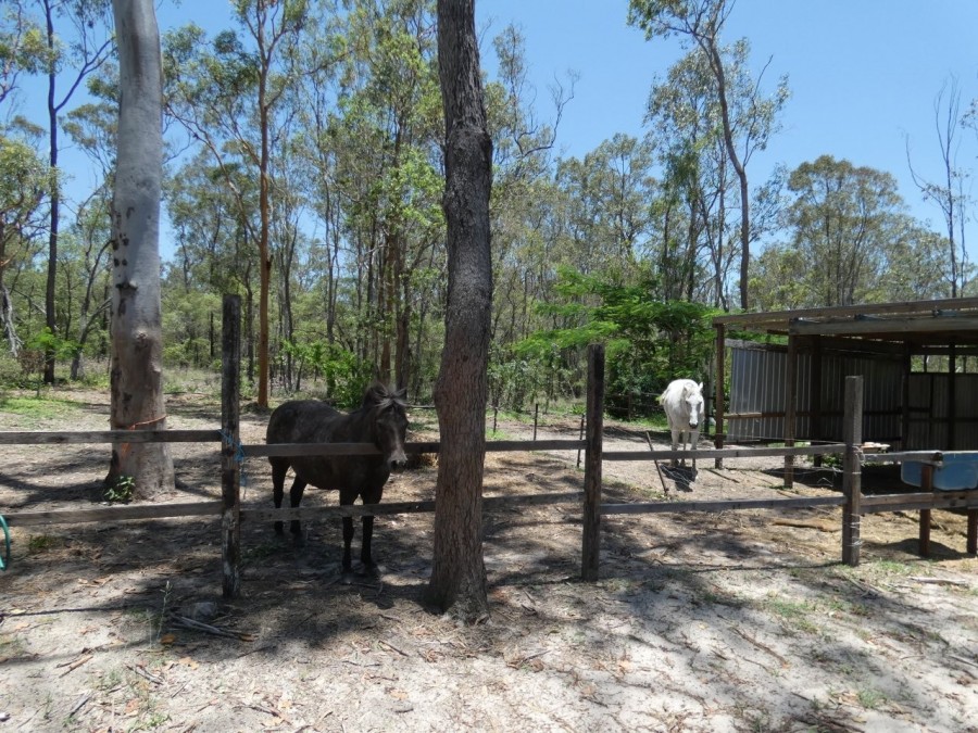 Real Estate in Colosseum