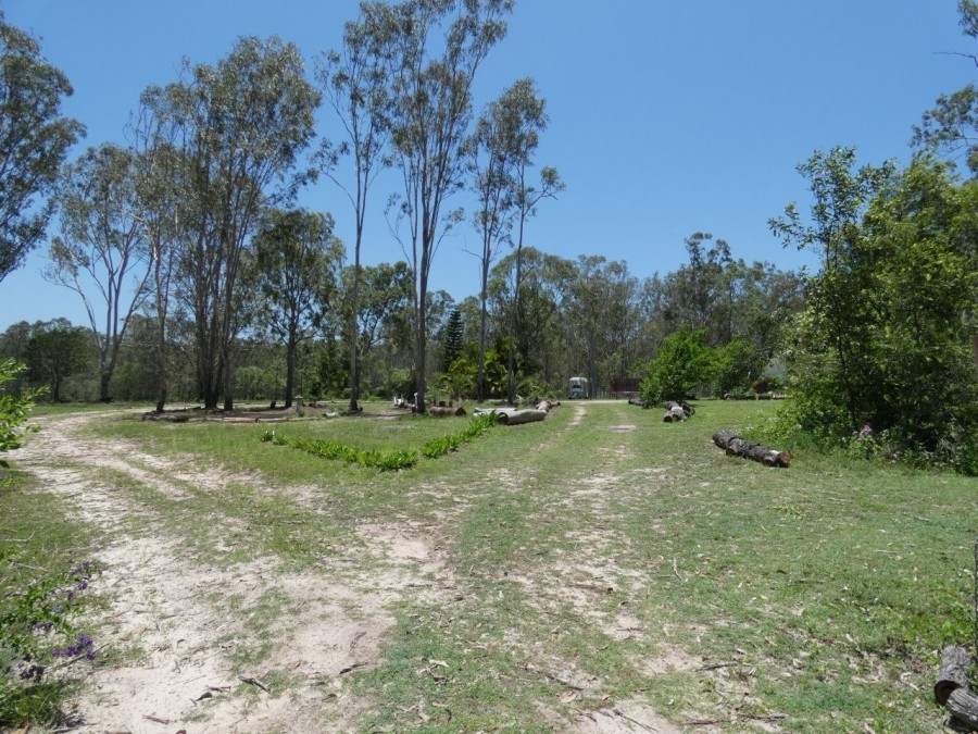 Real Estate in Colosseum