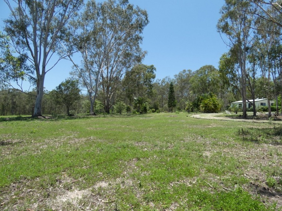 Real Estate in Colosseum