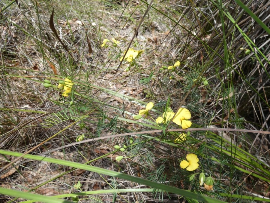 Real Estate in Deepwater