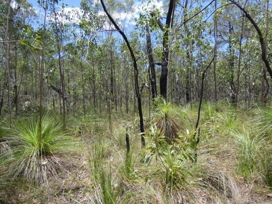 Real Estate in Deepwater