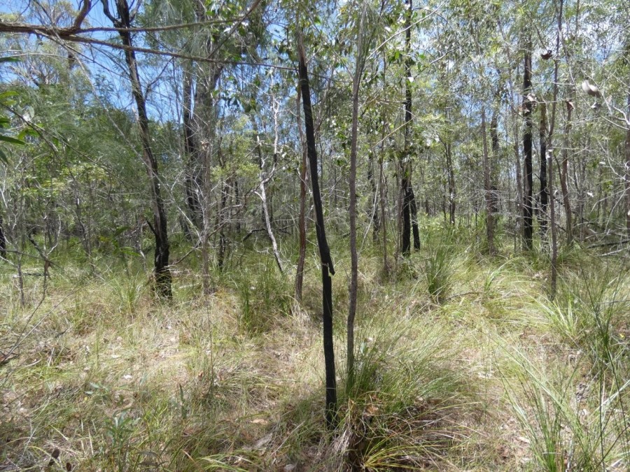 Real Estate in Deepwater