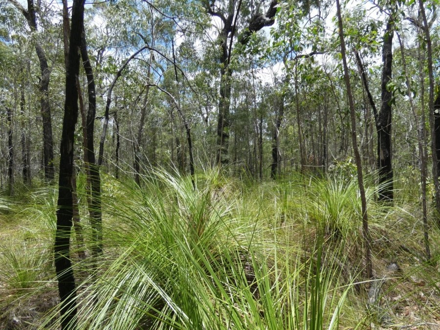 Real Estate in Deepwater