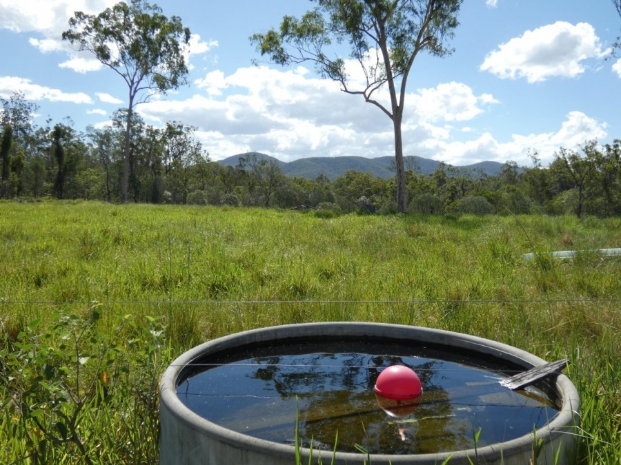 Real Estate in Berajondo
