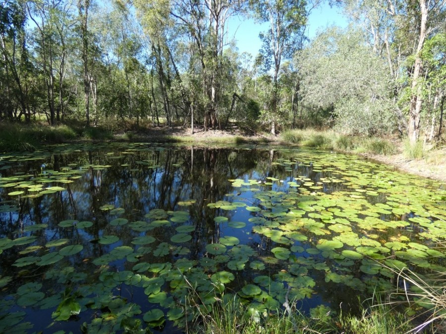 Real Estate in Berajondo