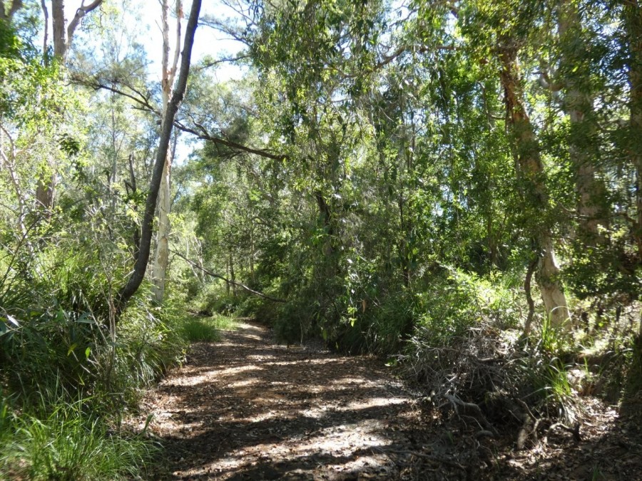 Real Estate in Berajondo