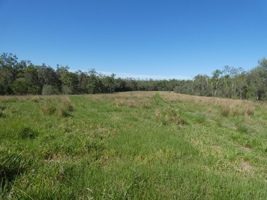 Real Estate in Berajondo