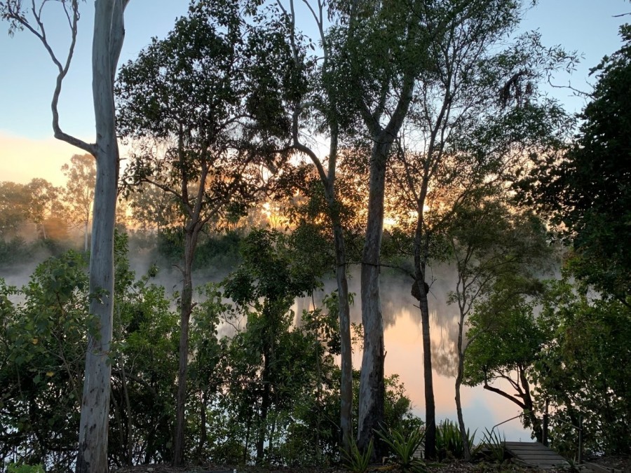 Real Estate in Euleilah