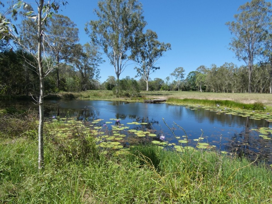 Real Estate in Euleilah