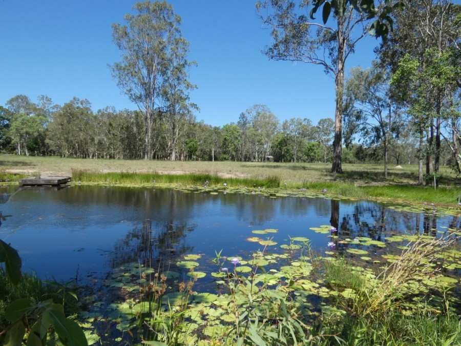 Real Estate in Euleilah