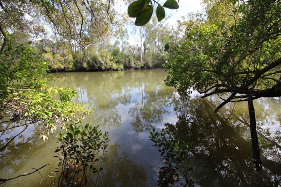 Real Estate in Winfield