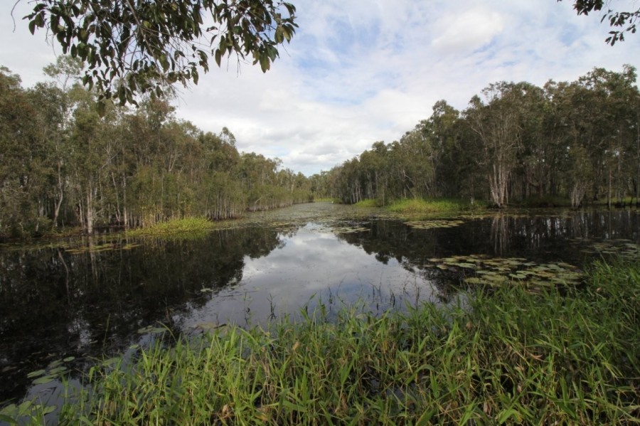 Real Estate in Winfield