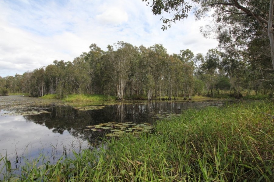 Real Estate in Winfield