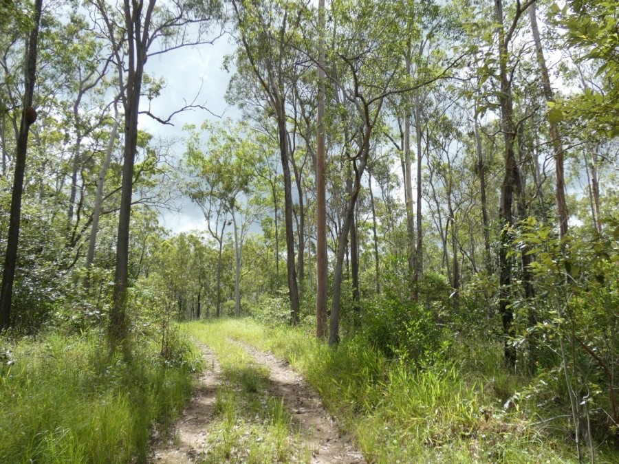 Real Estate in Rosedale