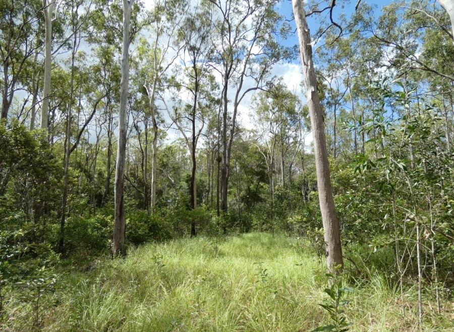 Real Estate in Rosedale