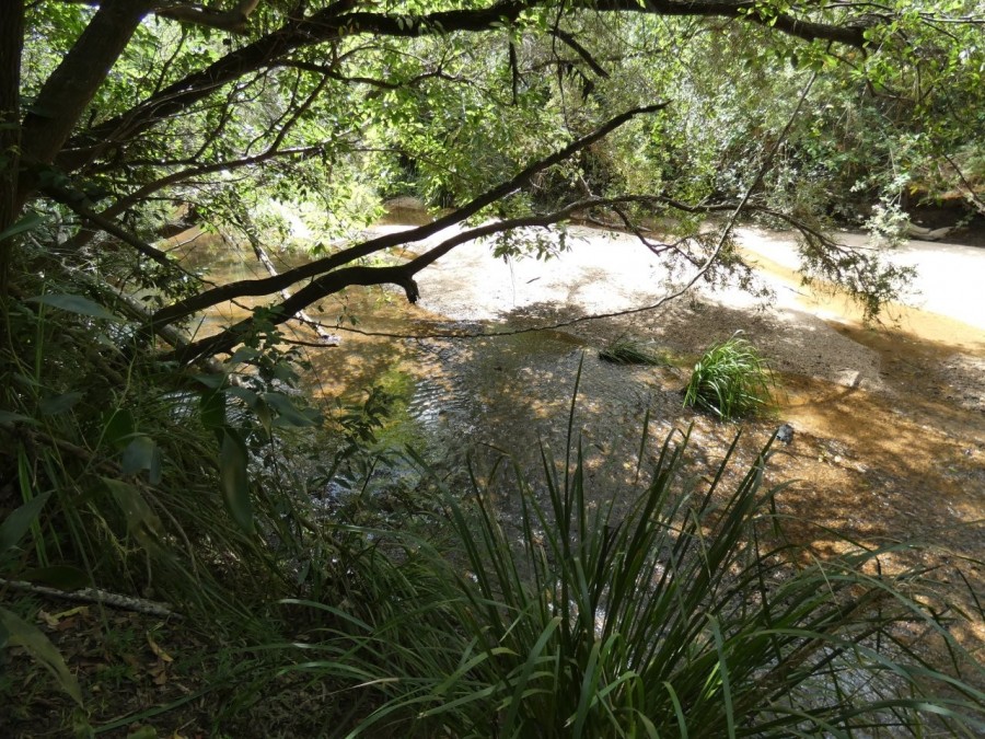 Real Estate in Rosedale