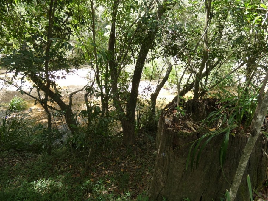 Real Estate in Rosedale