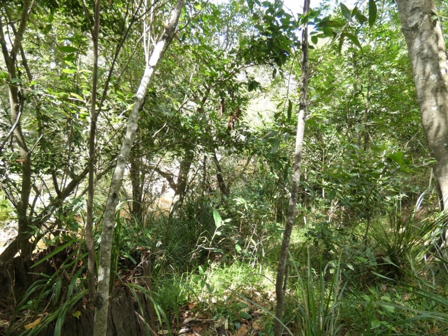 Real Estate in Rosedale